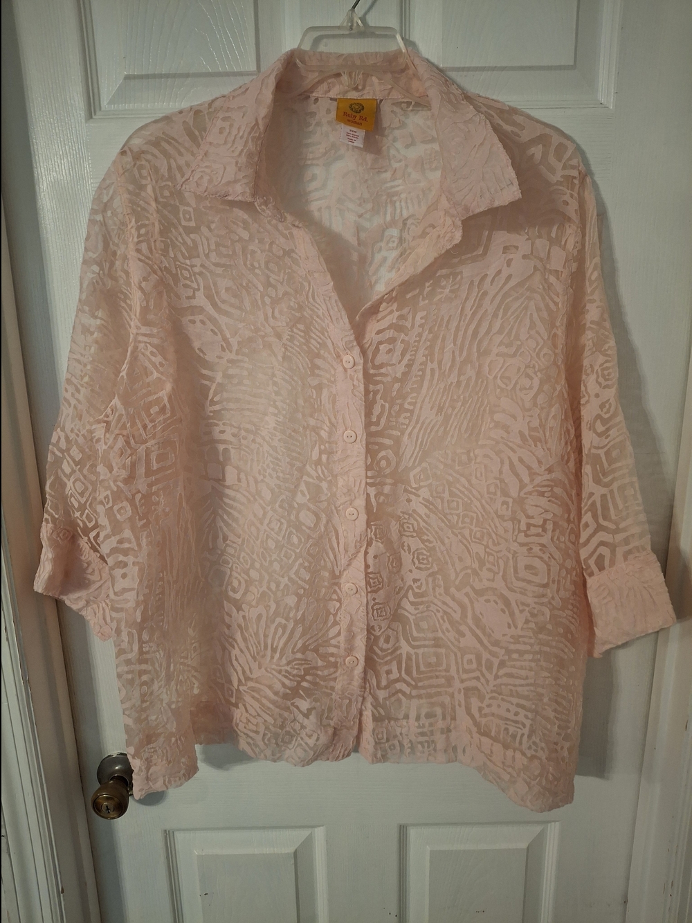 Ruby Rd. Pale Pink Sheer Button-Down Blouse